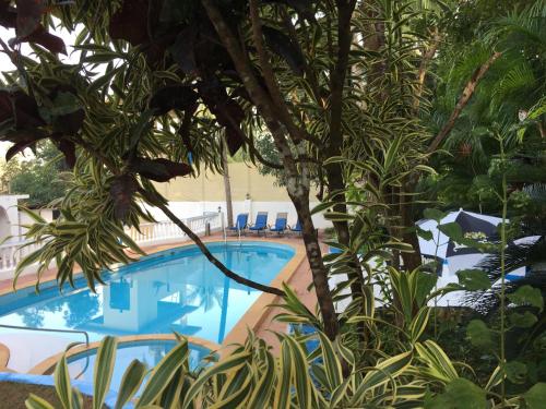 a swimming pool in a resort with trees and chairs at Oceanic - Luxury Boutique Hotel in Palolem