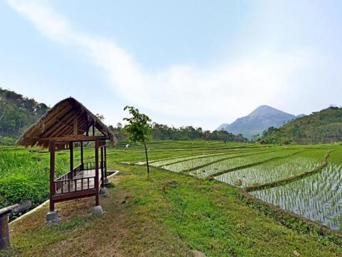 a small hut next to a rice field at Grand Whiz Hotel Trawas Mojokerto in Trawas
