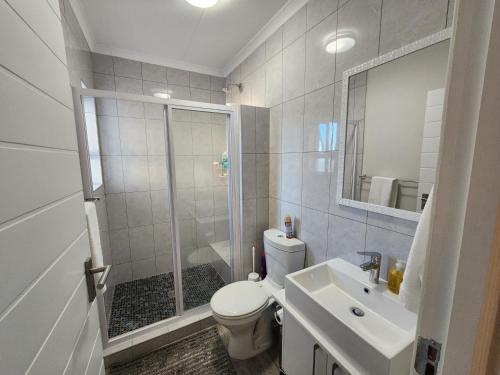 a bathroom with a shower and a toilet and a sink at Manchester Heights in Cape Town