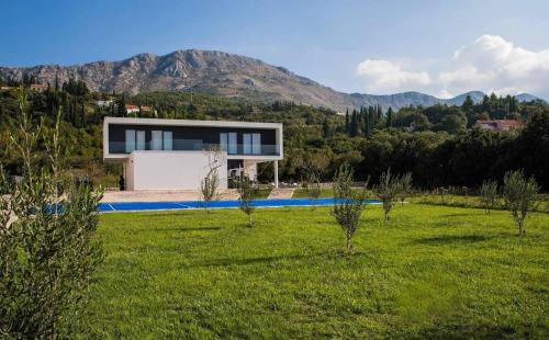 Villa Mlini Quiet Land with pool and badminton court