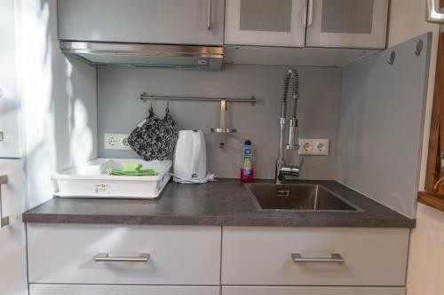 a kitchen with a sink and a counter top at Il Giardino in Ilmmünster