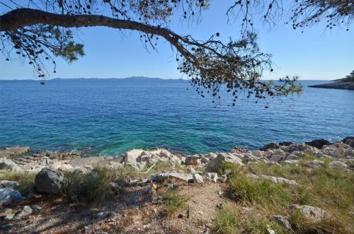 Φυσικό τοπίο κοντά σε αυτό το διαμέρισμα