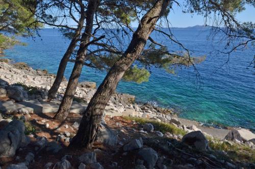 Φυσικό τοπίο κοντά σε αυτό το διαμέρισμα