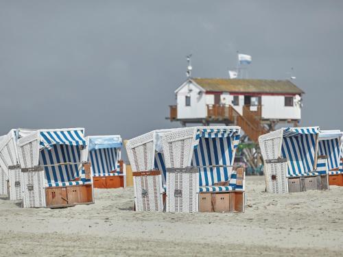 Düne 6 photo 51