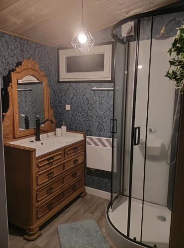 a bathroom with a sink and a shower at Mise au vert in Saint-Juvin