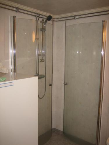 a shower with a glass door in a bathroom at Zorbcenter Holiday Homes in Hammarstrand