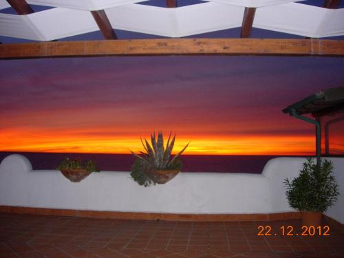 a painting of a sunset on a wall with plants at Casa Vacanze Elianto in Anzio