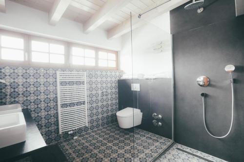 a bathroom with a shower and a toilet and a sink at Luna Blanca - Apartment 3 in Schwangau