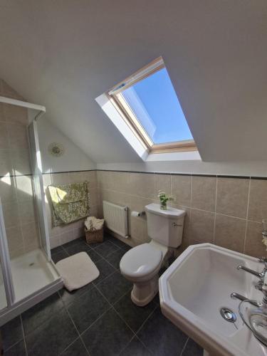a bathroom with a toilet and a sink and a skylight at Teach na hAirde in Carna
