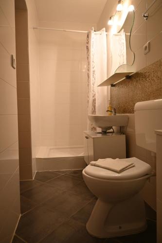 a white bathroom with a toilet and a shower at Apartments Tea Pag in Pag