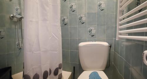 a bathroom with a toilet and a shower curtain at La Villa Pauze in Royat
