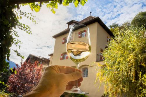a hand holding a glass of wine in front of a house at Weingut Köfelgut - Turris Vini in Kastelbell-Tschars