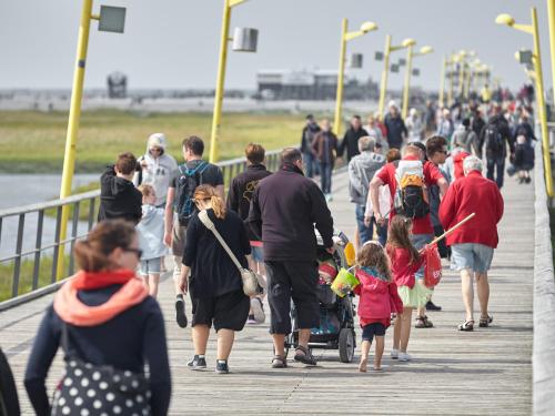 Düne 6 photo 64