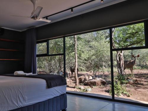 a bedroom with a bed and a view of a giraffe at Akasha by Kruger Nights in Marloth Park