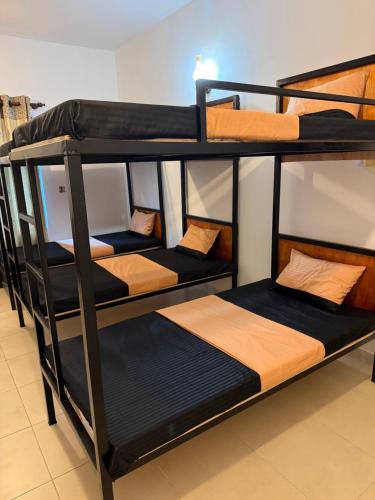 a group of bunk beds in a room at The Layover Hostel in Katunayaka