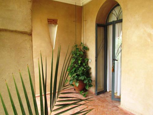 a house with two potted plants next to a door at Le Jardin Des Epices in Taroudant