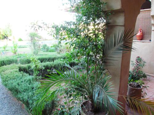 a garden with plants on the side of a building at Le Jardin Des Epices in Taroudant