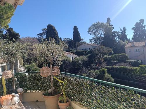 superbe appartement 2 pieces basse californie