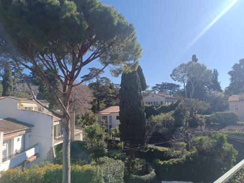 superbe appartement 2 pieces basse californie