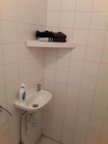 a white bathroom with a sink and a shelf at Wenceslas Cobergher III in Bertem