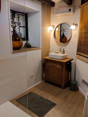 a bathroom with a sink and a mirror at Le petit Moulin de Drée in Drée