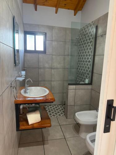 a bathroom with a sink and a toilet at L&M Cabañas Villa Yacanto in Villa Yacanto