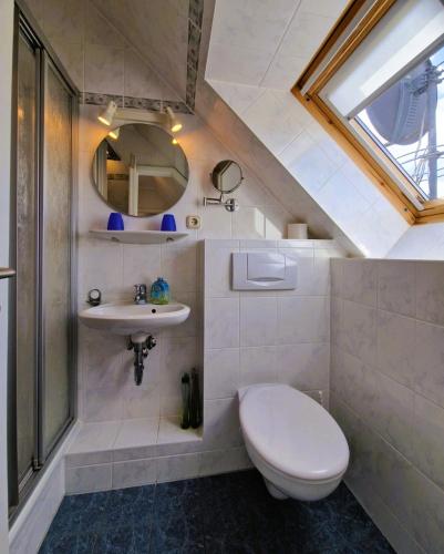 a bathroom with a toilet and a sink at _Neue Liebe_ Wohnung 3 in Groß Kirr