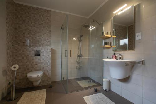 a bathroom with a shower and a toilet and a sink at Apartments Slavek in Jastrebarsko