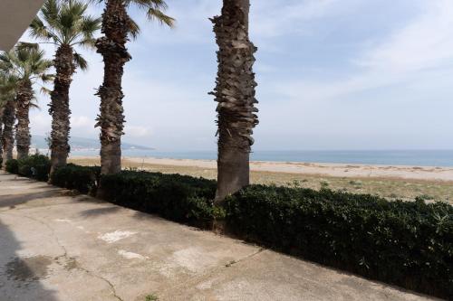 a row of palm trees next to a beach at The Sea Under the House in Marina di Strongoli