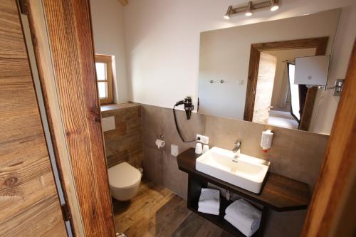 a bathroom with a sink and a toilet and a mirror at Pension Schweizerhaus Garni in Weyarn