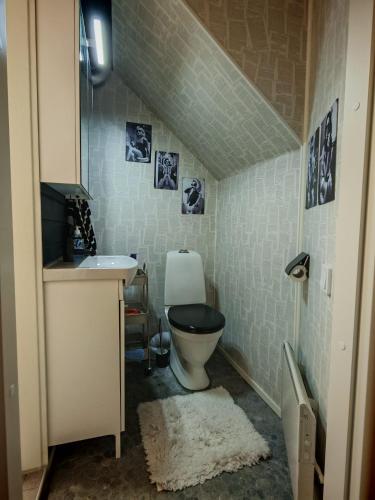 a bathroom with a toilet and a sink at Tunnelmallinen kaksio järven lähellä, vuokraajalle käytössä myös kajakkikaksikko in Heinola