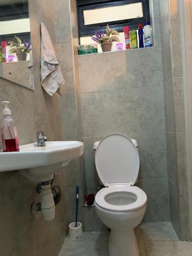 a bathroom with a toilet and a sink at Brizelle studio in Ongata Rongai 