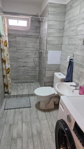 a bathroom with a toilet and a sink and a shower at Apartmán Mírová 472 B in Milovice