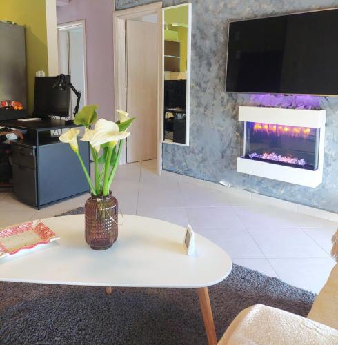 Jimvila2family apartment wi-fi 500 we accept dogs