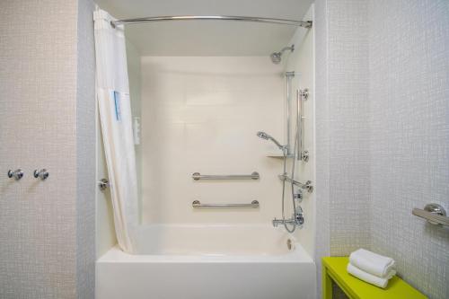 a bathroom with a shower and a tub and a sink at Hampton Inn East Aurora, NY in East Aurora