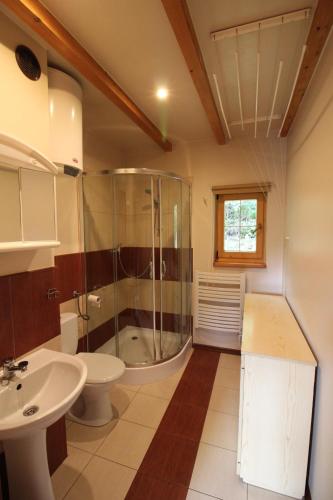 ein Badezimmer mit Dusche, Toilette und Waschbecken in der Unterkunft Bukowinka in Krempna