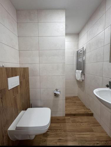 a bathroom with a toilet and a sink at Рандеву in Slavske