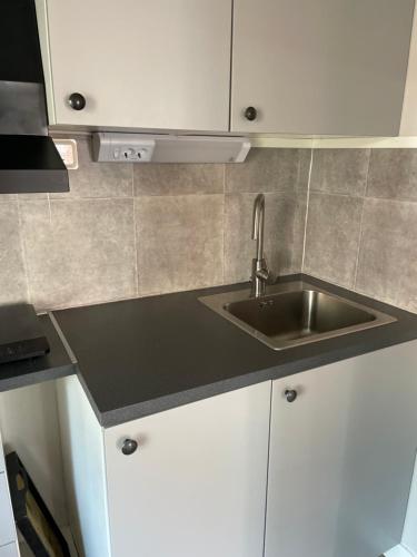a kitchen with a sink and white cabinets at Gävle hel Lägenhet Stuga i 2 plan 28 m2 Centrum 3 Furuvik 9 in Gävle