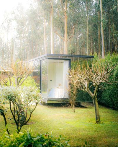 a glass house in the middle of a garden at Villa no Jardim dos Aromas in Gião