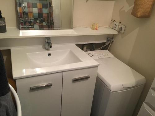 a small bathroom with a sink and a washing machine at Les capucins de Provins Maison in Provins