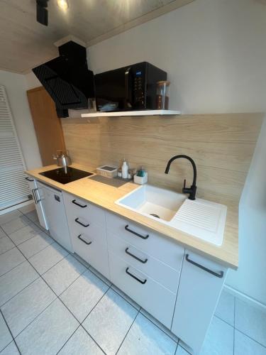 a kitchen with a sink and a counter top at Horský penzion a bistro Čepice in Pernink
