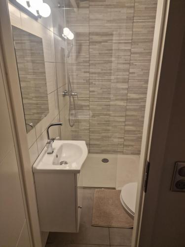 Superbe appartement Strasbourg Centre