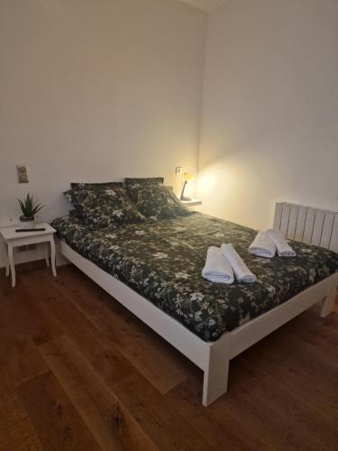 Superbe appartement Strasbourg Centre