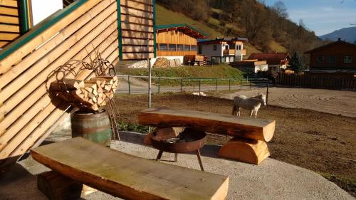 a couple of benches sitting next to a building at Appartment Iris in Aich