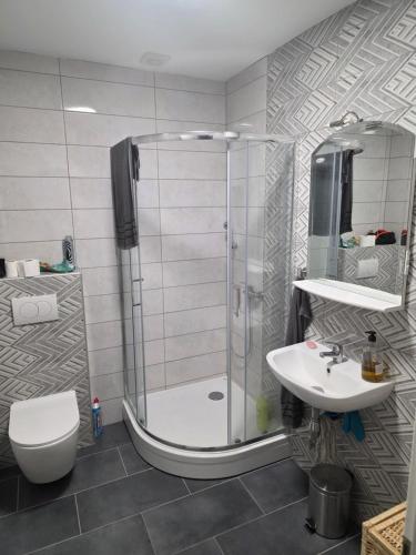 a bathroom with a shower and a toilet and a sink at Center- Podčetrtek in Podčetrtek