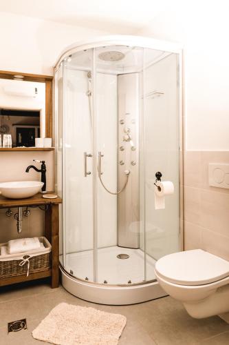 a bathroom with a shower with a toilet and a sink at Vila Ana in Štanjel