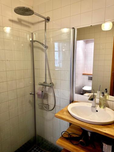 a bathroom with a sink and a shower at Downtown Townhouse! in Helsinki