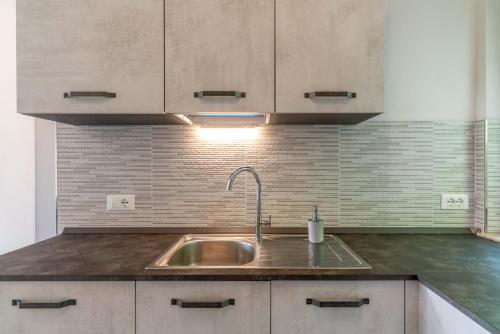 a kitchen with a sink and a counter top at Casa Maria in Mezzolago