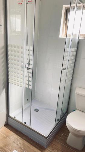 a shower stall in a bathroom with a toilet at Hostal Santa Sabina in Concepción