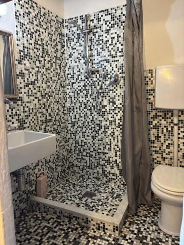 a bathroom with a shower and a sink and a toilet at adagio b&b in Faenza